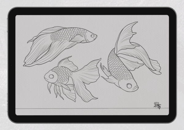 20 Fish & Koi Procreate Brushes