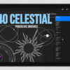 40 Celestial Brushes